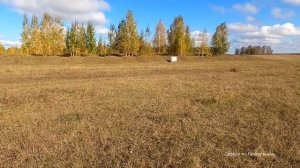 Патроны СИБИРЬ. Разбор и отстрел по мишени.