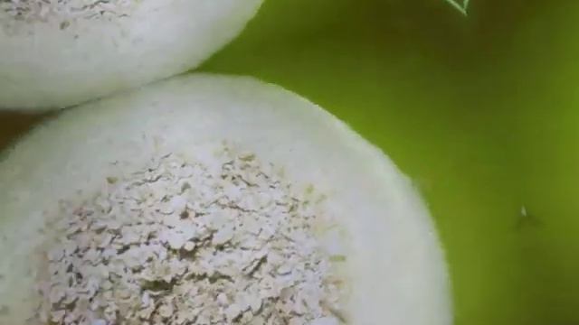 ПЫШНЫЕ ОВСЯНЫЕ ПАНКЕЙКИ I ВОЗДУШНЫЕ БЛИНЧИКИ смотреть онлайн