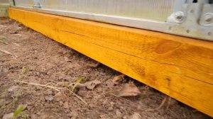 Теплица Тюльпан-Антишторм на даче. Часть 2