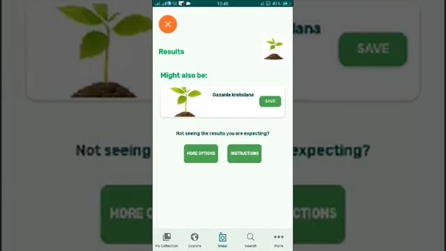 PlantSnap identifies a Spring Pheasant'S Eye (Adonis vernalis) смотреть онлайн