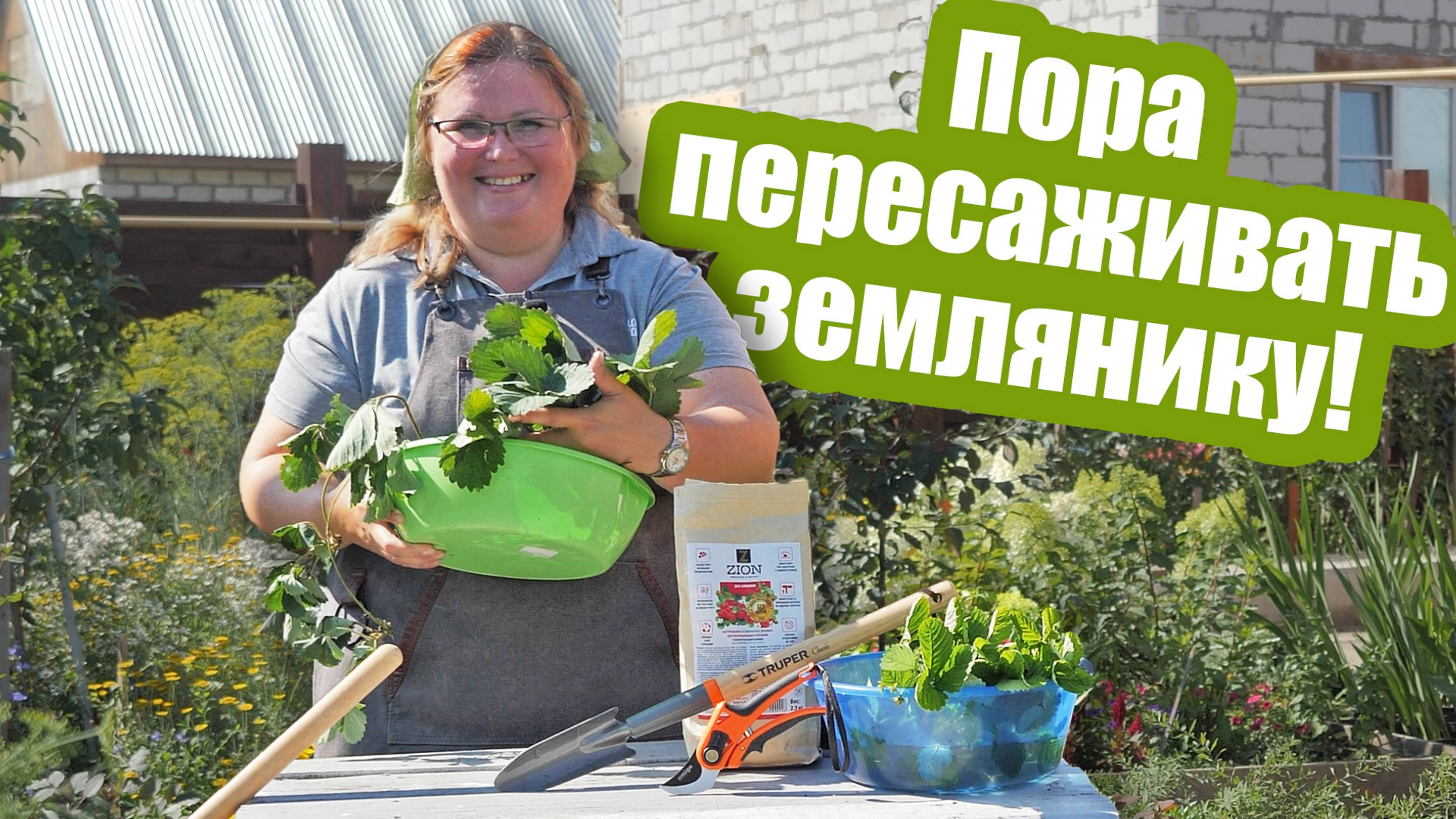 3 простых способа ПЕРЕСАДИТЬ ЗЕМЛЯНИКУ на новое место! смотреть онлайн