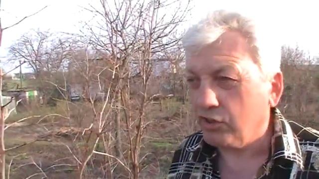 Зизифус, часть 4 из 4 смотреть онлайн