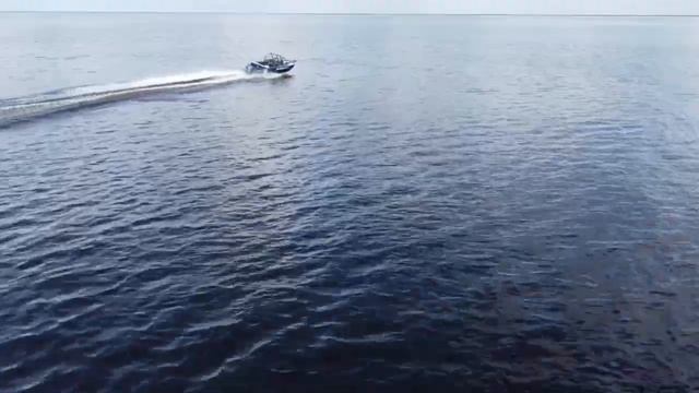 Триера 431 боурайдер. Ямаха f40fets. Ладога. смотреть онлайн