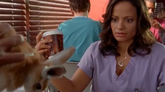 Клиника(scrubs) польза животных смотреть онлайн