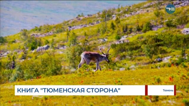 Книга «Тюменская сторона» смотреть онлайн