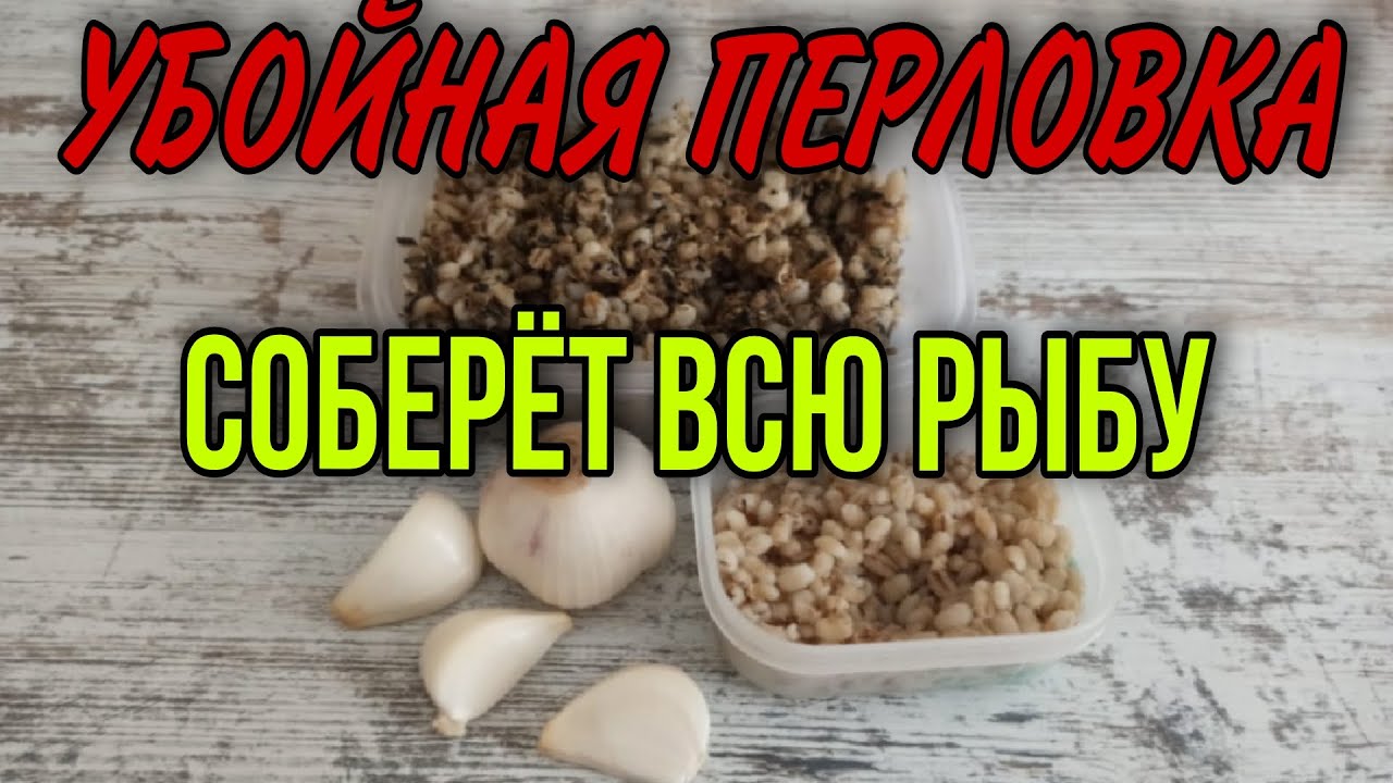 САМАЯ УЛОВИСТАЯ ПЕРЛОВКА ДЛЯ РЫБАЛКИ!! Эта перловка творит чудеса