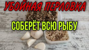 САМАЯ УЛОВИСТАЯ ПЕРЛОВКА ДЛЯ РЫБАЛКИ!! Эта перловка творит чудеса