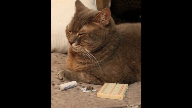 Метеостанция на основе ESP8266 | #Обзор