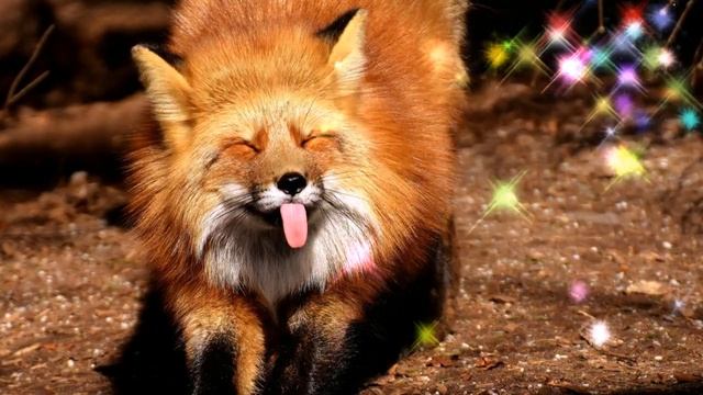 Дед разиня, хитрая лиса и глупый волк смотреть онлайн