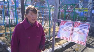 Теплицы на Центральной Стройбазе