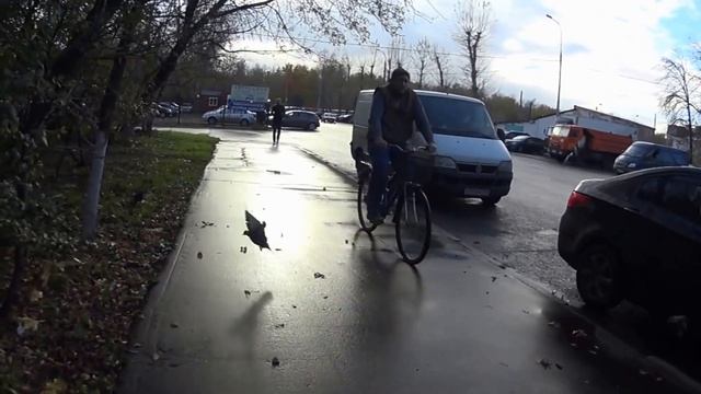 ЛЮДИ-ТОРМОЗА. Голуби тоже тормоза. А воробьи рулят!!!! (съемка камерой sony HDR-AS100V) смотреть онлайн