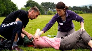 УКУСИЛА ГАДЮКА! ЧТО ДЕЛАТЬ, ПЕРВАЯ ПОМОЩЬ, ЕСЛИ УКУСИЛА ГАДЮКА