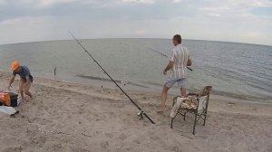 Ловля кефали пеленгаса с берега на море на спининг.