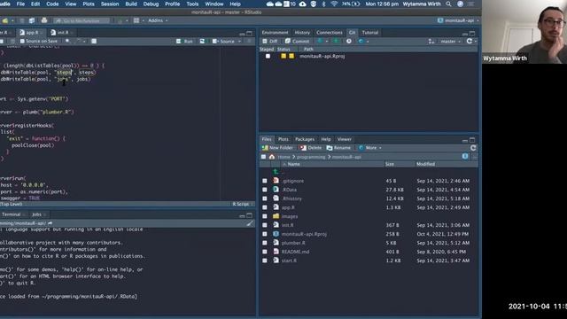 MonitauR the progress of your R scripts ? (Wytamma Wirth) смотреть онлайн