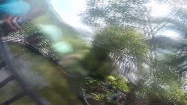 2018 05 17 24 Ира, Лида путешествие в Китай на Хайнань смотреть онлайн