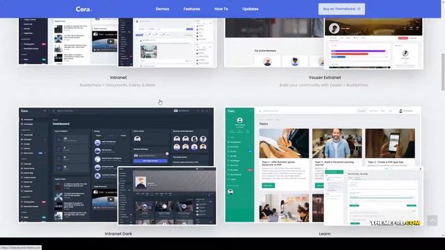 Cera - Intranet and Community Theme Social Community private Website Builder смотреть онлайн