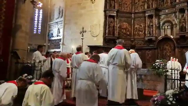 Ordenaciones sacerdotales en Cáceres, Carlos, Flores, Robert y José Luís-video1 смотреть онлайн