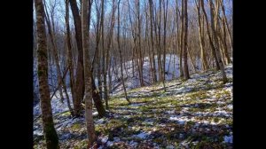 12 марта Прокоп Перезимний, Дорогорушитель. Народные приметы и поверья.