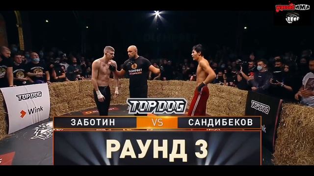 Валерий Заботин vs Сандибек «Адос» | TOP DOG X смотреть онлайн