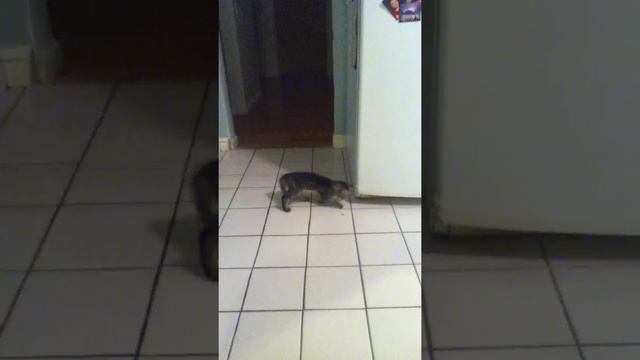 Scrap Attacks a Crack (part 4) смотреть онлайн