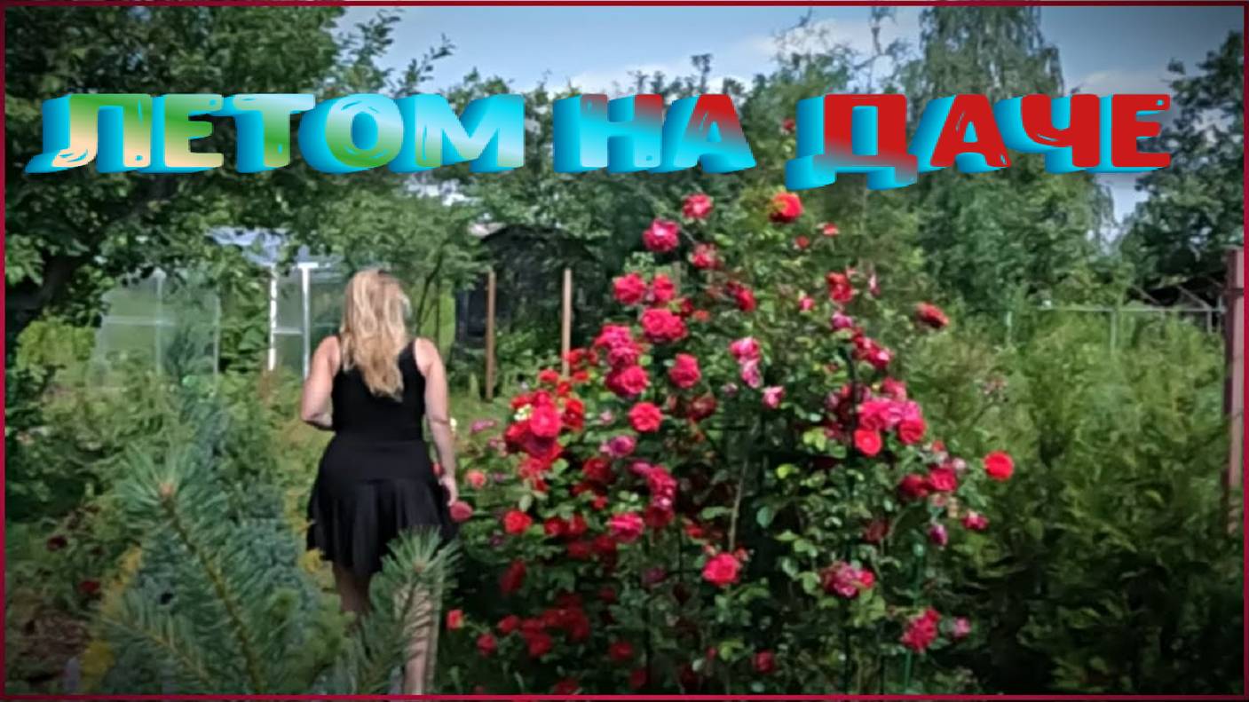 Летом на даче смотреть онлайн