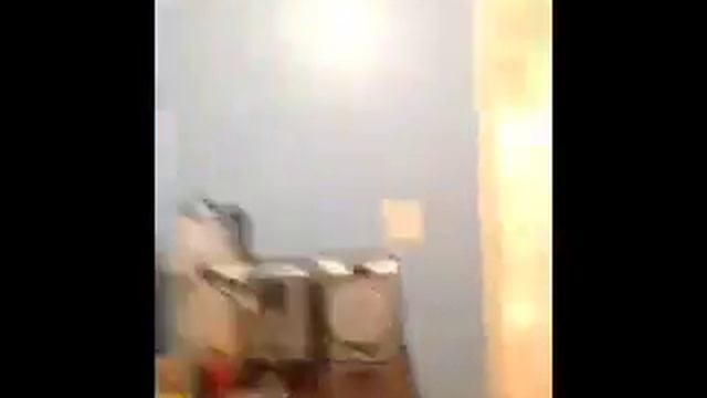 Bottle flip/mannequin challenge(3) смотреть онлайн