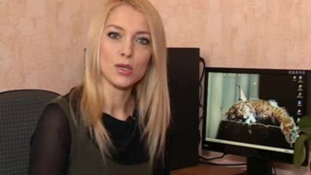 Образ жизни - 13_03 смотреть онлайн