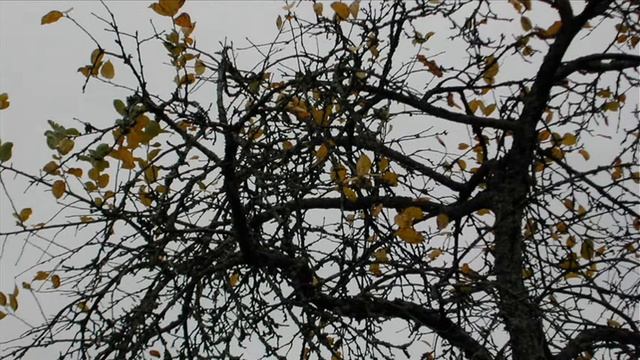 Иеромонах Роман. «Это знают все наверняка...» смотреть онлайн