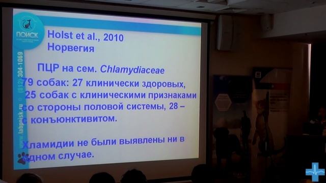 Хламидиоз собак. Chlamydia in dogs смотреть онлайн
