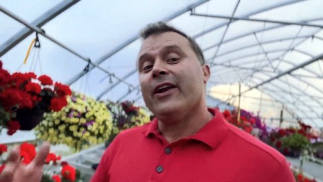 We’re saying GOODBYE to ivy geraniums - and HELLO to some new varieties смотреть онлайн