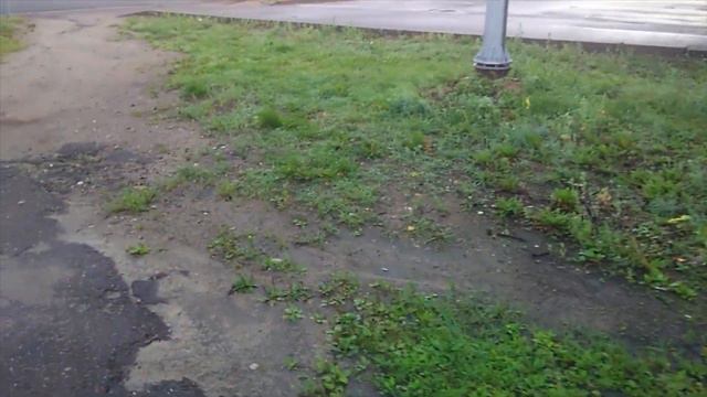 Прогулка в 5 утра. Озеро,Утки,Балканская Звезда,Корсар Капучино смотреть онлайн