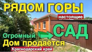 Я долго искал такой дом, чтобы он вам понравился , который расположен в хорошем месте на юге.