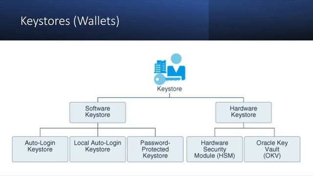 What are Oracle KeyStores or Wallets ? смотреть онлайн