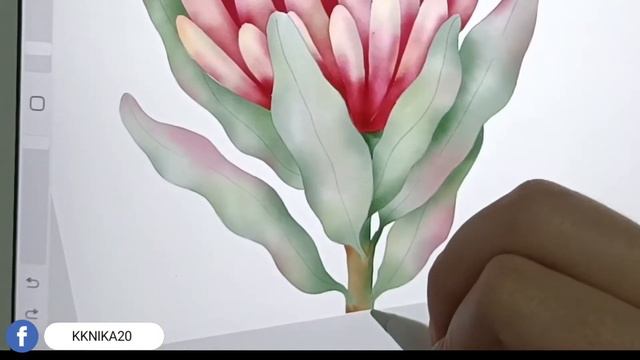 Protea Botanical illustration with procreate (speed painting) смотреть онлайн