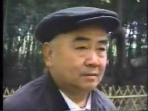 Жу Йи мастера Ши Мина смотреть онлайн