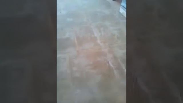 Видалити Клей на стяжці підлоги - без пилюки. Київ. смотреть онлайн