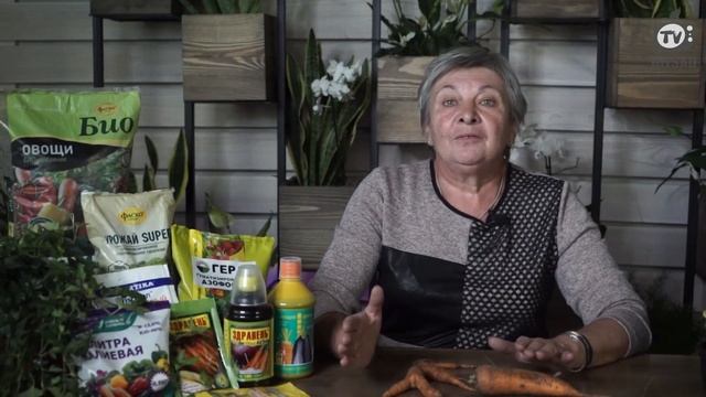 Что Делать если Морковь Рогатая ✔️ Кривая морковь. Почему ‼️ Советы от Хитсад ТВ хитсад медиа