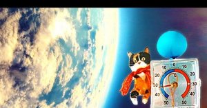 КУКИ В КОСМОСЕ