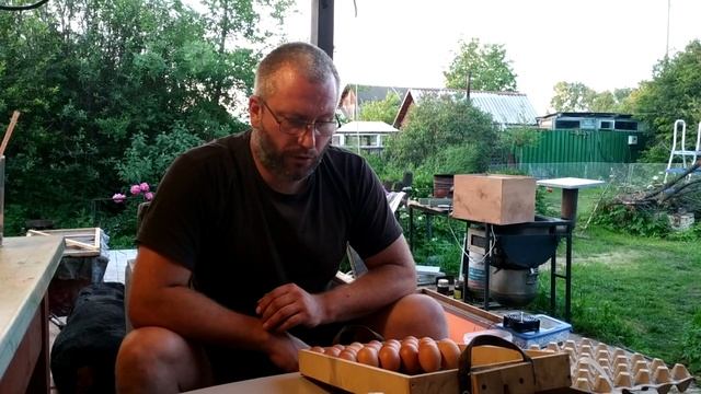 Ломан браун Я решился на круглогодичное птицеводство смотреть онлайн