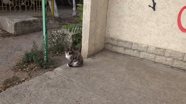 Три "сестрицы" под окном ... смотреть онлайн