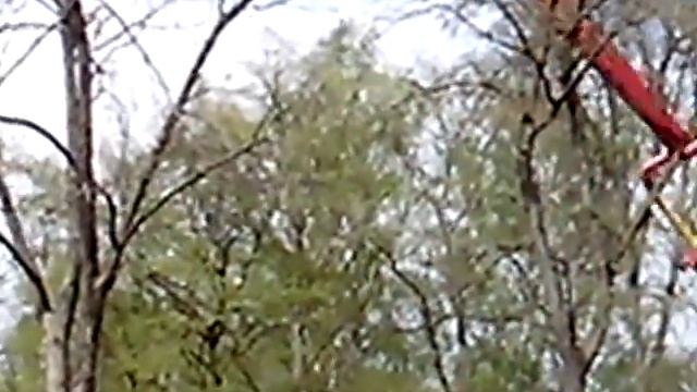 Парк атракционов ,,Диво остров,,  Санкт-Петербург