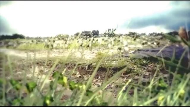 Сон в X 18 S T A L K E R