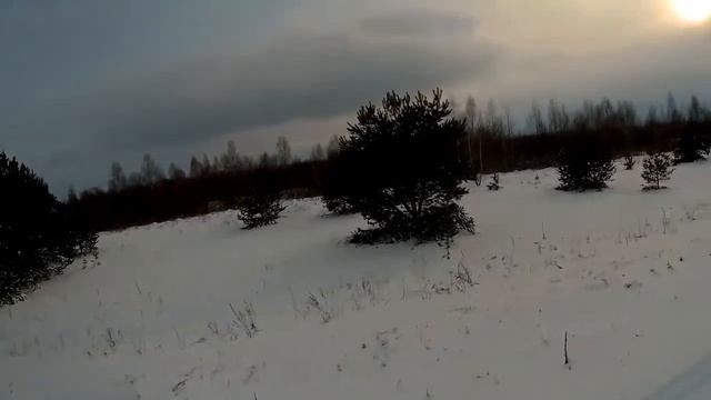 ОХОТА НА ЗАЙЦА С СОБАКАМИ 2021 Конец охоты на зайца смотреть онлайн