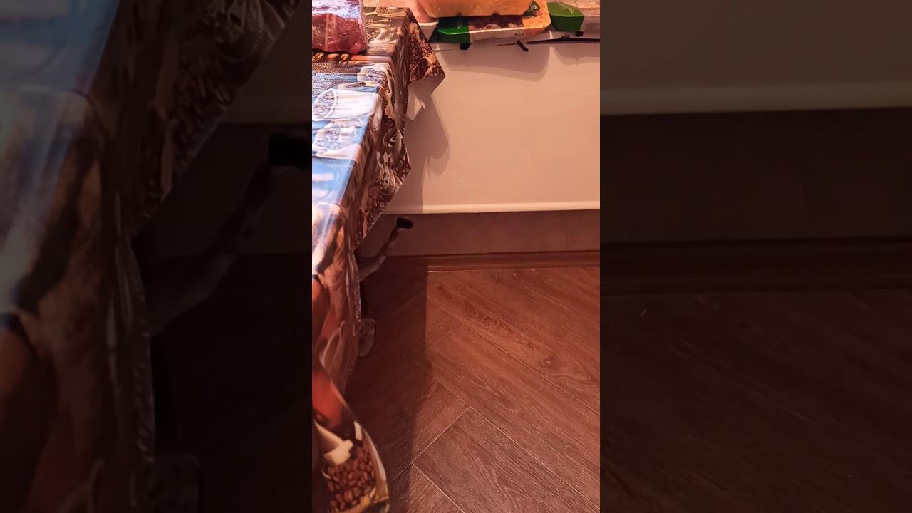 5 марта 2020 г. смотреть онлайн