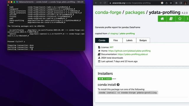 How to Install YData-Profiling with Conda on Python 3.11 смотреть онлайн