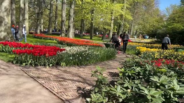 Парк тюльпанов КЕКЕНХОФ (Keukenhof) Нидерланды. Как добраться? Сколько стоит? Часть 1