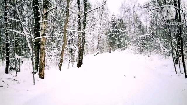 Латвия. Навалило снега. Он едет зимой в Монголию смотреть онлайн