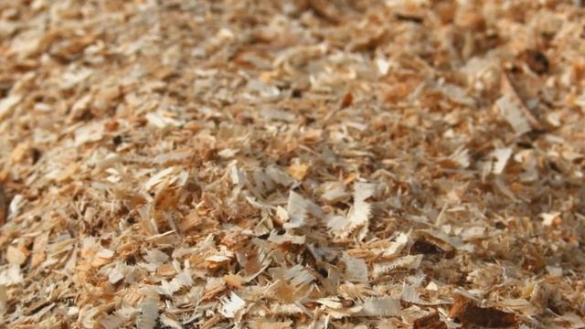 Опилками сосед испортил огород. Можно ли вносить опилки в почву? смотреть онлайн