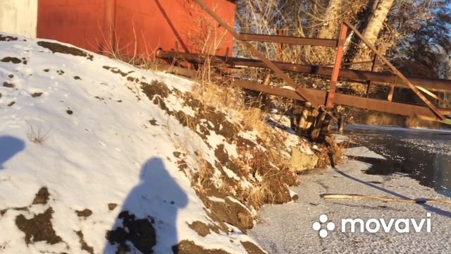 Дружите с родителями, один день с Отцом! смотреть онлайн