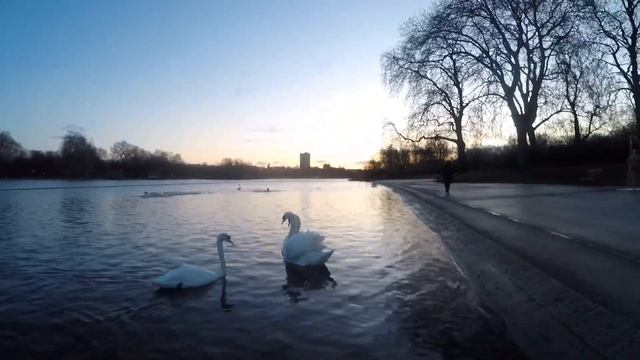 Wild Swimming In The Serpentine, London